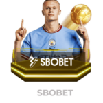 We88 sport